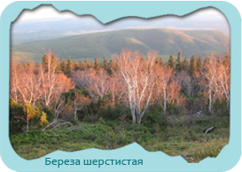 area1