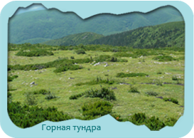 area3