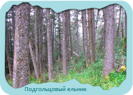 area4