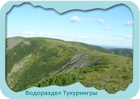 nature1