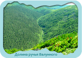 nature2