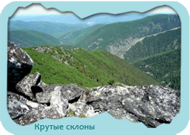nature3